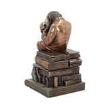 Darwinism of Evolutionary Theory  17.5cm - 100