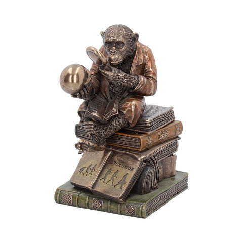Darwinism of Evolutionary Theory  17.5cm - 100