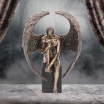 Angel's Reflection 26cm - 10