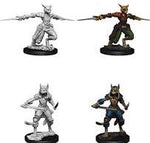 D&D Nolzur's Marvelous Miniatures Tabaxi Rogue