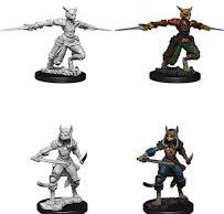 D&D Nolzur's Marvelous Miniatures Tabaxi Rogue