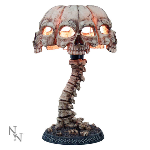 Atrocity 37.5cm - 63