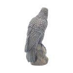 Ravens Rest 16cm - 100