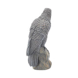 Ravens Rest 16cm - 100