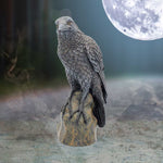 Ravens Rest 16cm - 100