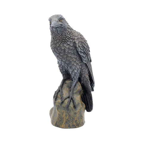 Ravens Rest 16cm - 100