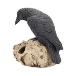 Ravens Remains 13cm - 100