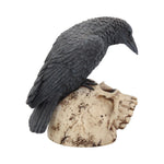 Ravens Remains 13cm - 100