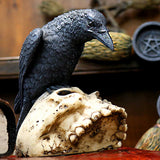 Ravens Remains 13cm - 100