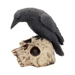 Ravens Remains 13cm - 100
