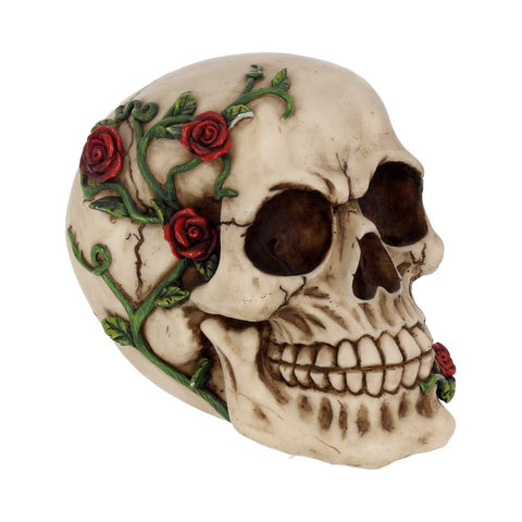 Rose From Beyond 15cm - 100