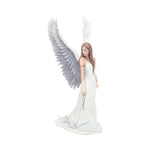 Spirit Guide (AS) 24cm - 100