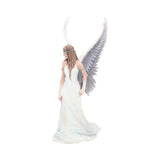 Spirit Guide (AS) 24cm - 100