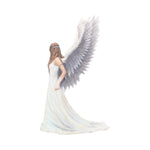 Spirit Guide (AS) 24cm - 100