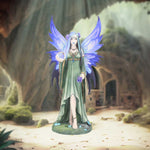 Mystic Aura (AS) 23cm - 100