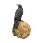 Salems Familiar 27cm - 100