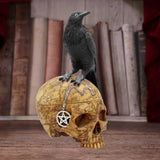 Salems Familiar 27cm - 100
