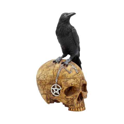 Salems Familiar 27cm - 100