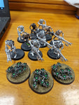 Necron Warriors