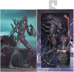 1986 Ultimate Alien Warrior Brown Aliens Action Figure NECA