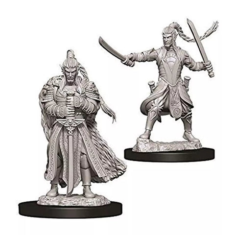 WizKids - D&D Nolzurs Marvelous Miniatures: Elf Paladin