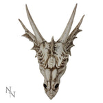 The Last Dragon Skull 32cm - 18