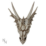 The Last Dragon Skull 32cm - 18