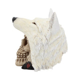 Night Wolf 15.6cm - 100