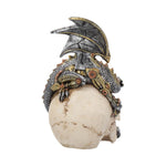 Steel Wing Skull 21cm - 100