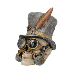 Count Archibald 19.5cm - 100