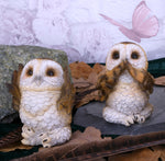 Three Wise Brown Owls 7.5cm - 10