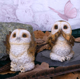 Three Wise Brown Owls 7.5cm - 10