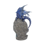 Cobalt Custodian 23cm - 58