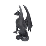 Black Wing 37cm - 69