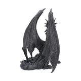 Black Wing 37cm - 69