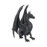 Black Wing 37cm - 69