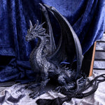 Black Wing 37cm - 69