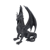 Black Wing 37cm - 69
