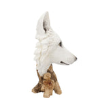 Wild Winter 27.5cm - 0