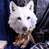 Wild Winter 27.5cm - 0