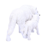 Winter Offspring 27.5cm - 100