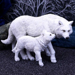 Winter Offspring 27.5cm - 100