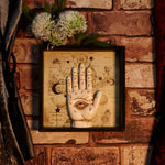 Palmistry Companion 20.2cm - 100