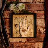 Palmistry Companion 20.2cm - 100