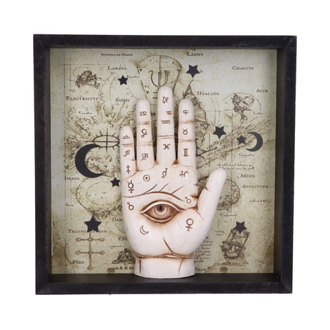 Palmistry Companion 20.2cm - 100