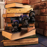 Three Wise Familiars 9.2cm - 100