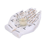 Palmist's Guide (White) 22.3cm - 100