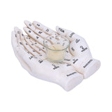 Palmist's Guide (White) 22.3cm - 100