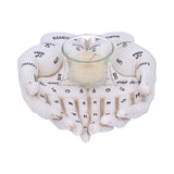 Palmist's Guide (White) 22.3cm - 100