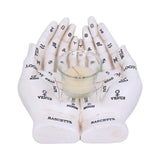 Palmist's Guide (White) 22.3cm - 100